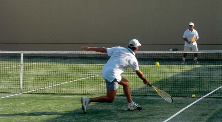 Система на теннис 20т.р. в день_0.png